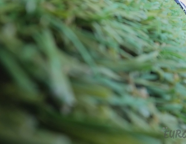 Rooftop Nude Sunbathing Hot Models Rebeka Ruby Matty And Brille Rubbing Oil